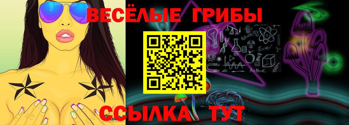 Галлюциногенные грибы Psilocybine cubensis Ростов Великий